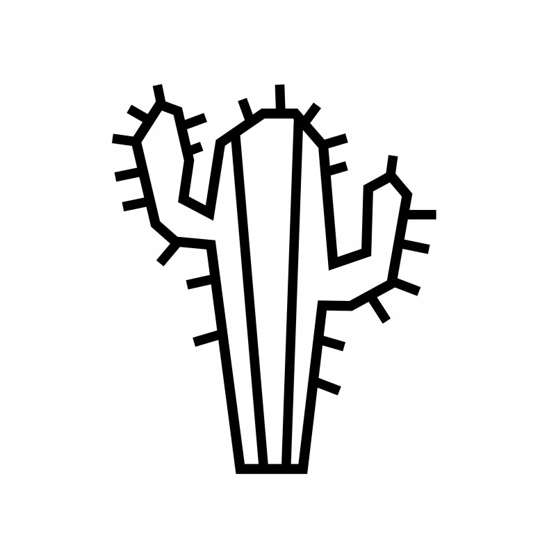 Deco DIY murale en masking tape cactus noir Deco DIY murale en masking tape cactus noir