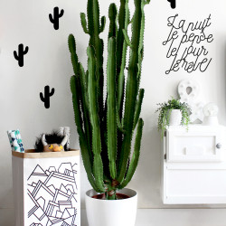 Stickers cactus noir déco mur