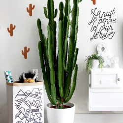 Stickers cactus cuivre déco mur