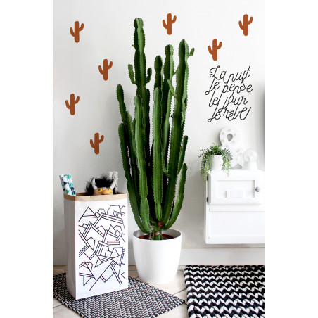 Stickers cactus cuivre déco mur