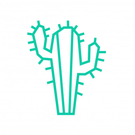 Deco DIY murale en masking tape cactus menthe